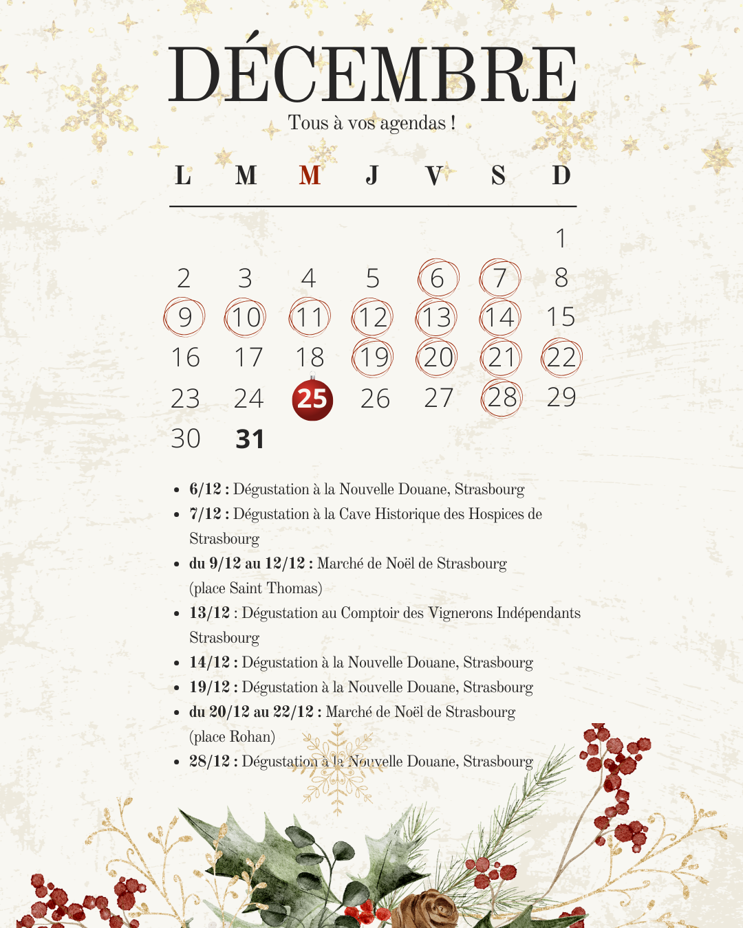 Calendrier_decembre_2024_Reseaux_sociaux.png (886 KB)